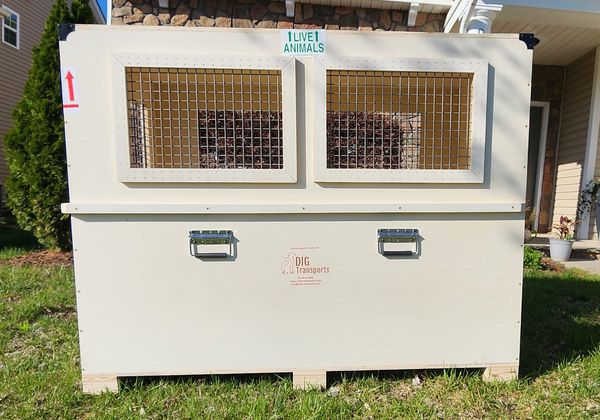 D.I.G. Transports - Custom Pet Crates, Pet Transportation Services